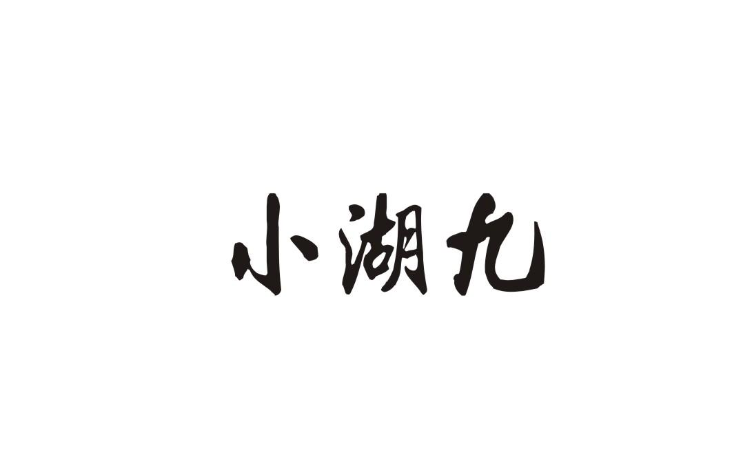 小湖九