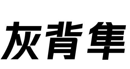 灰背隼