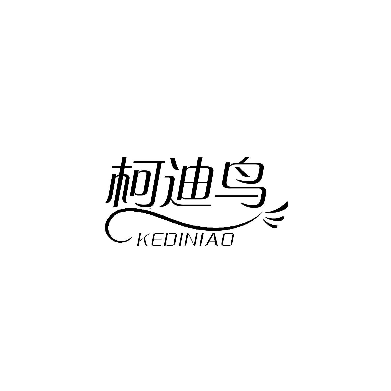 柯迪鸟