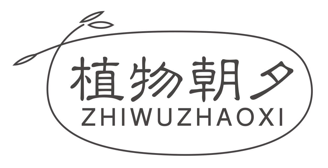 植物朝夕zhiwuzhaoxi