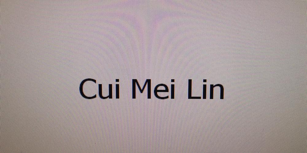 CUI MEI LIN