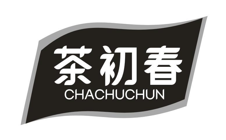 茶初春