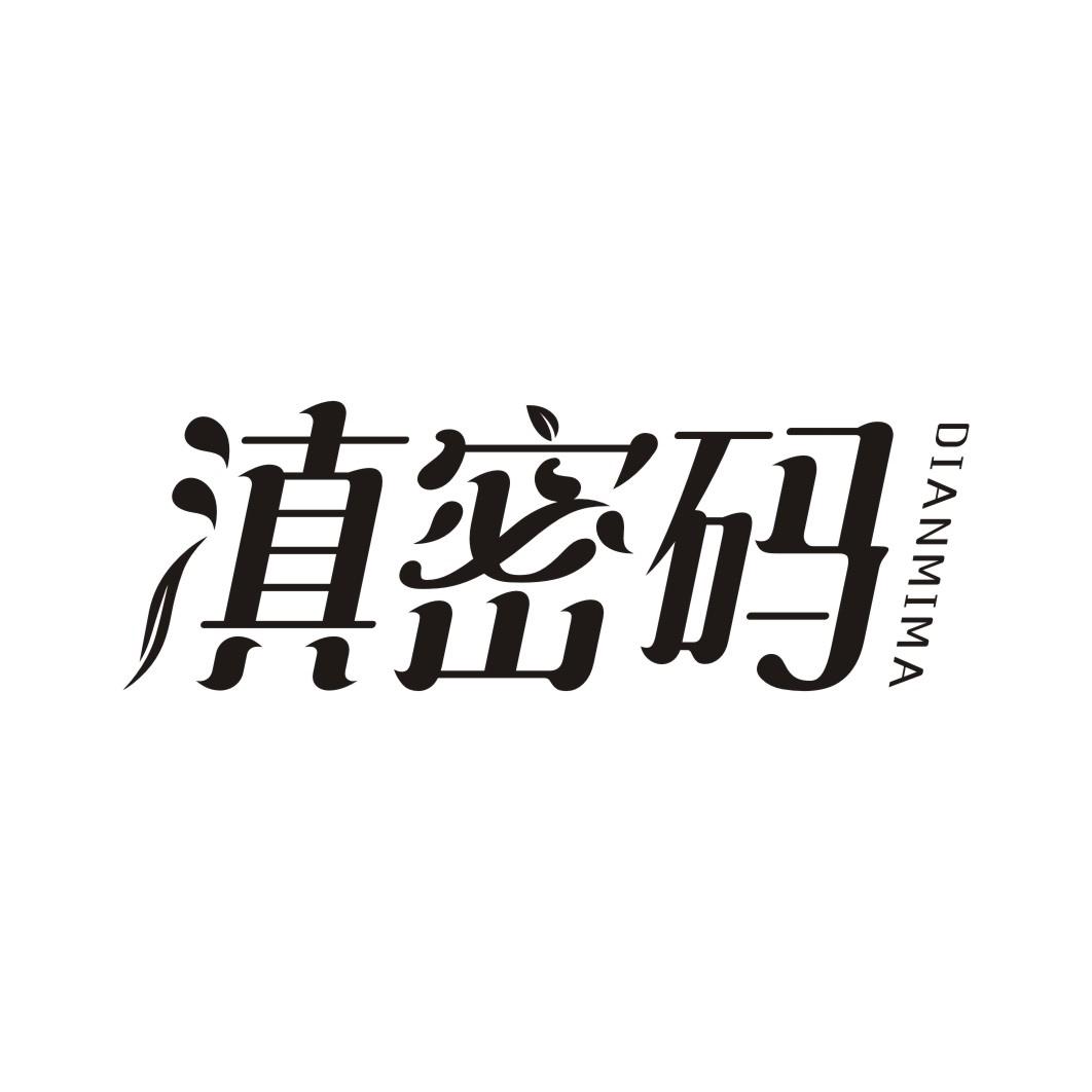 滇密码DIANMIMA
