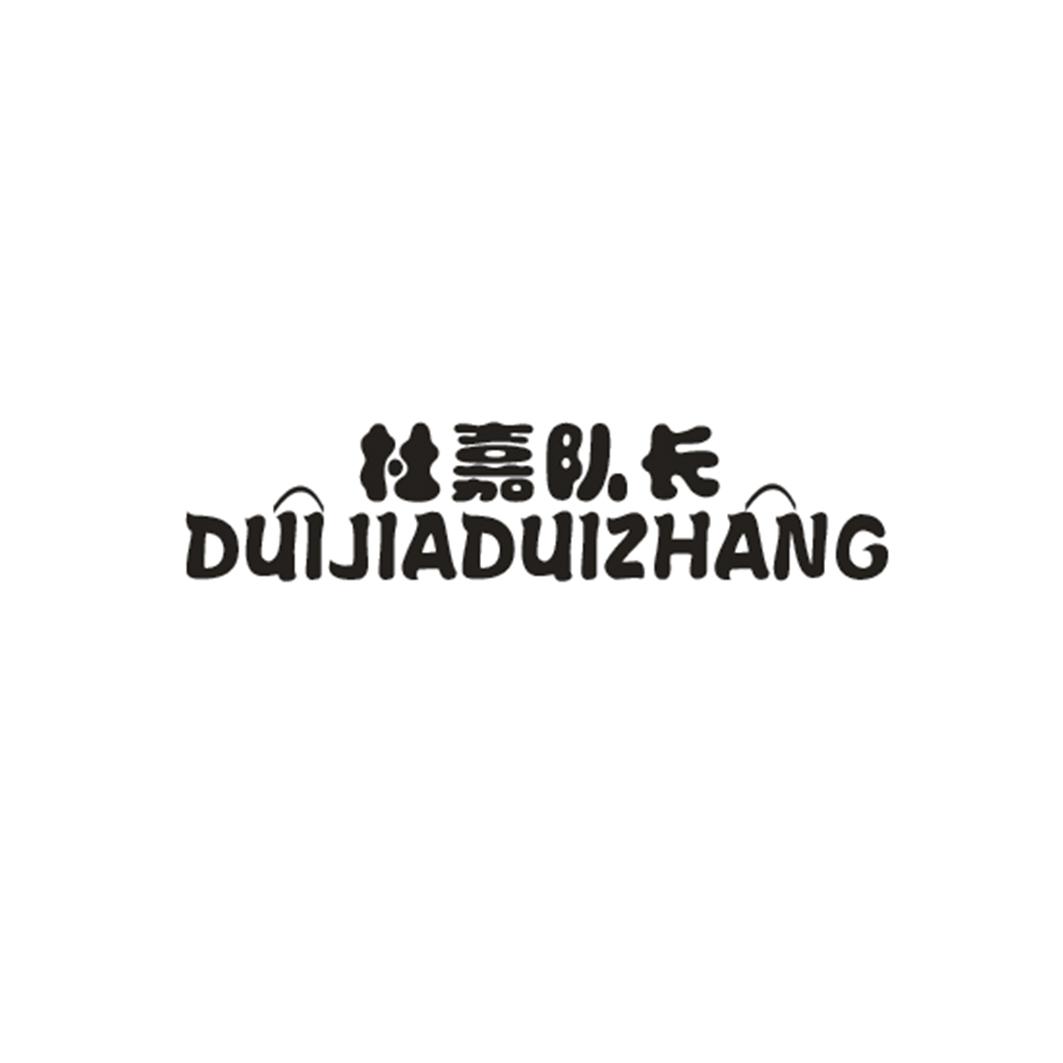 杜嘉队长