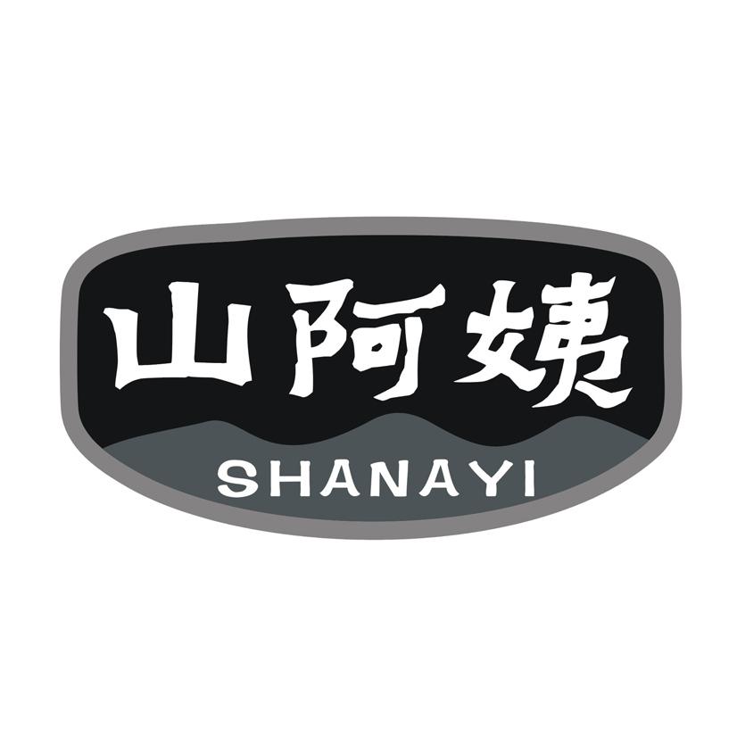 山阿姨