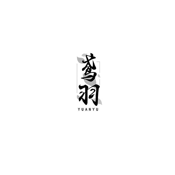 鸢羽
