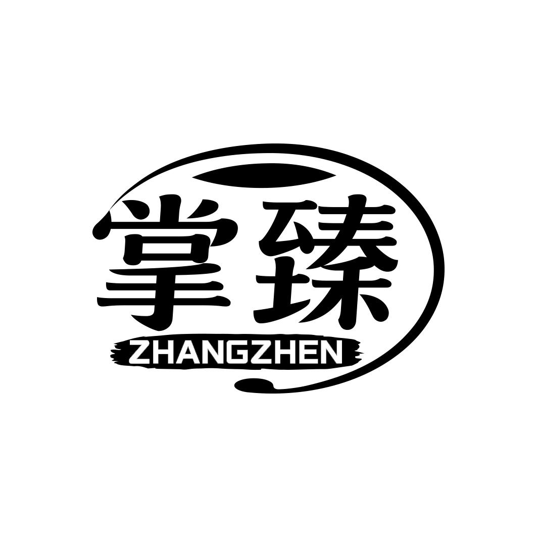 掌臻           ZHANGZHEN