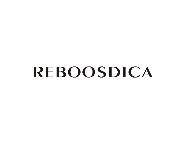 REBOOSDICA