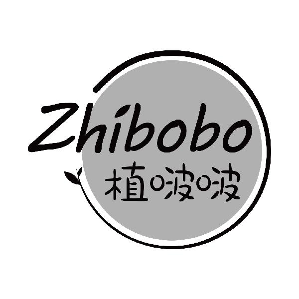 植啵啵
zhibobo