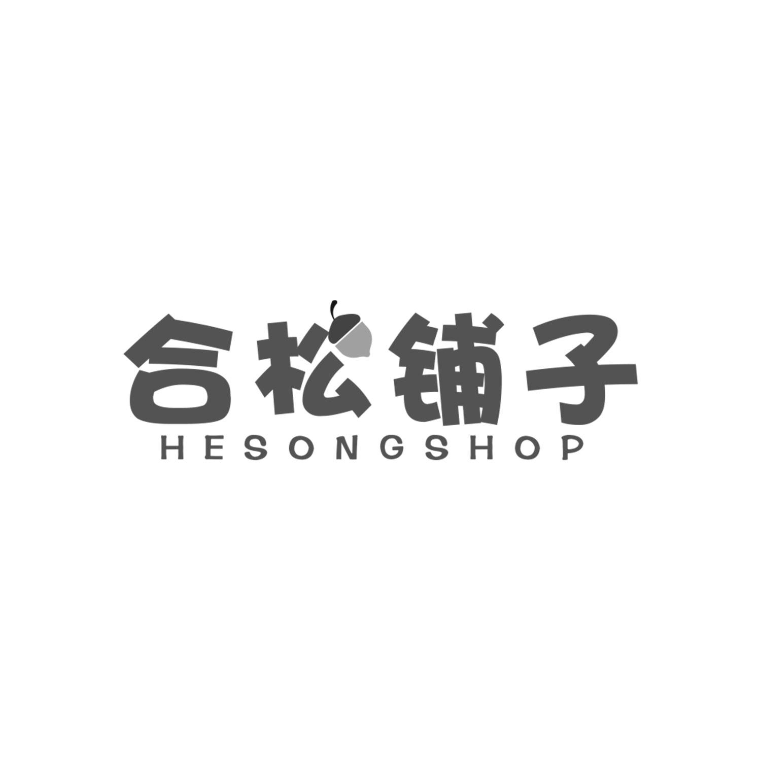 合松铺子
HESONGSHOP