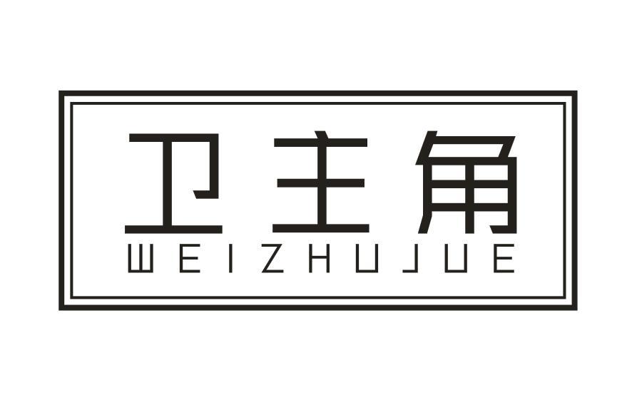 卫主角