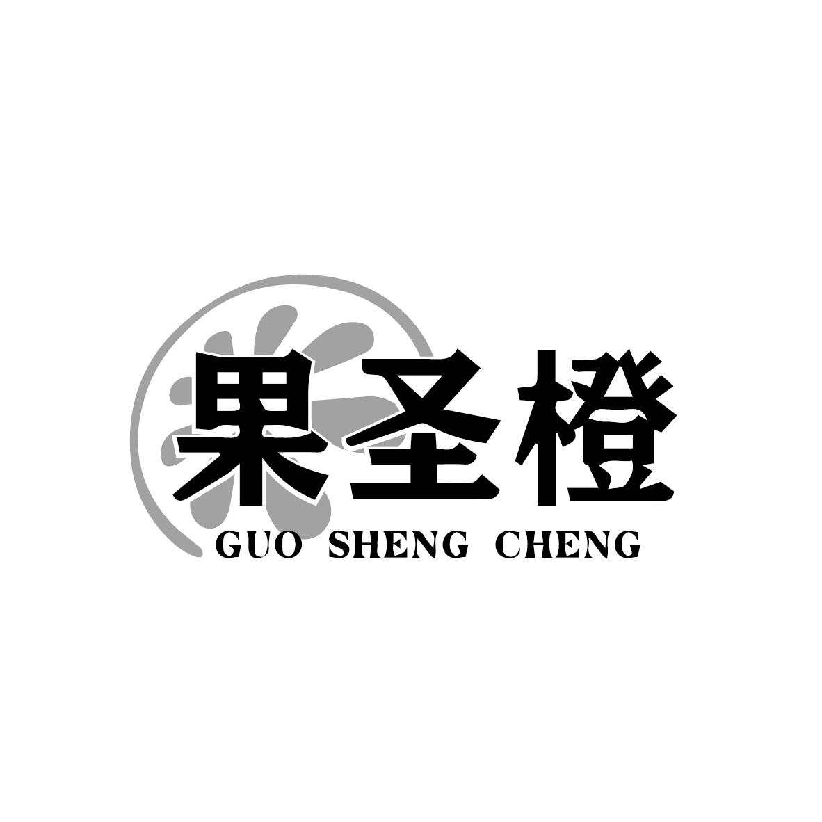 果圣橙GUOSHENGCHENG