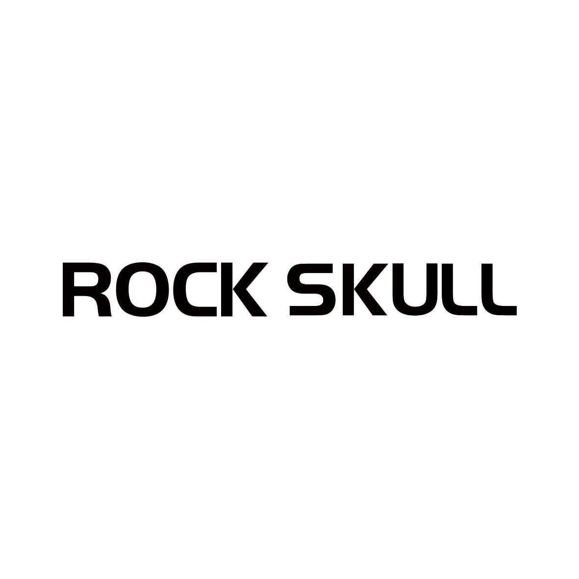 ROCK SKULL         