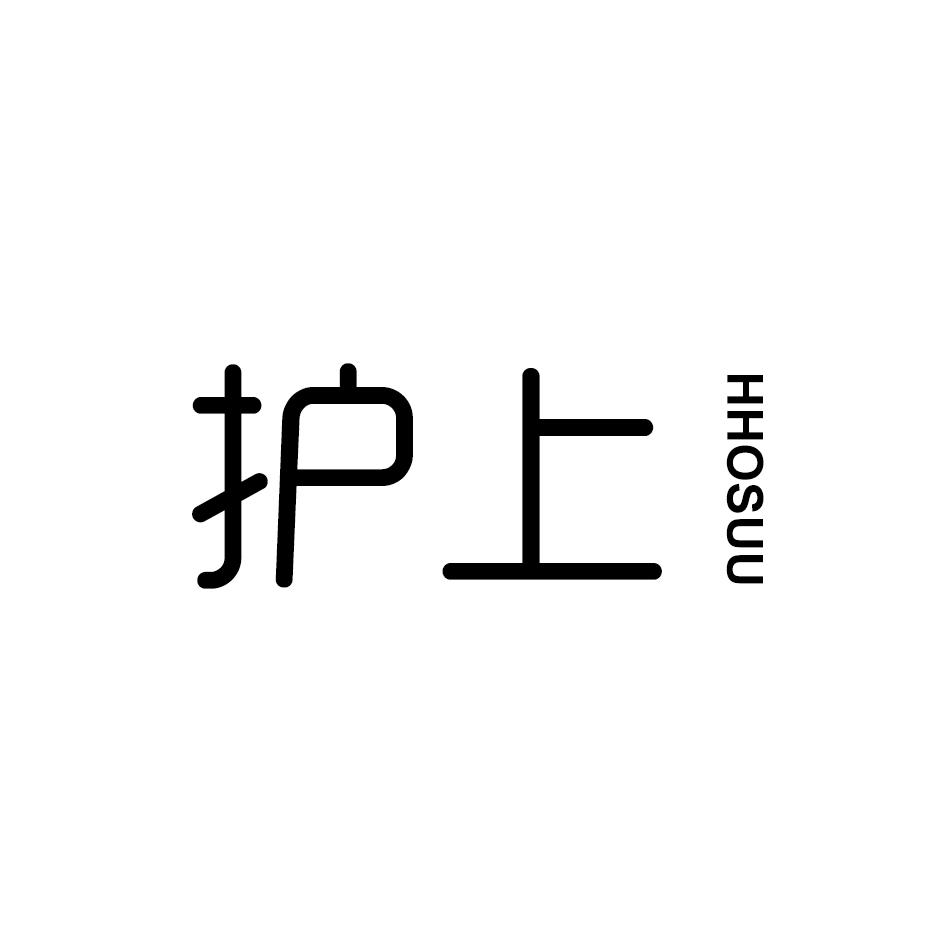 护上
