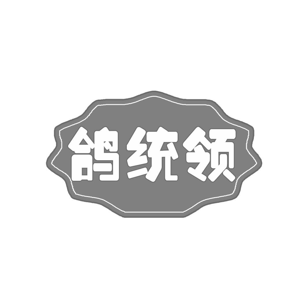 鸽统领