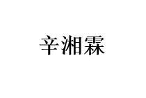 辛湘霖