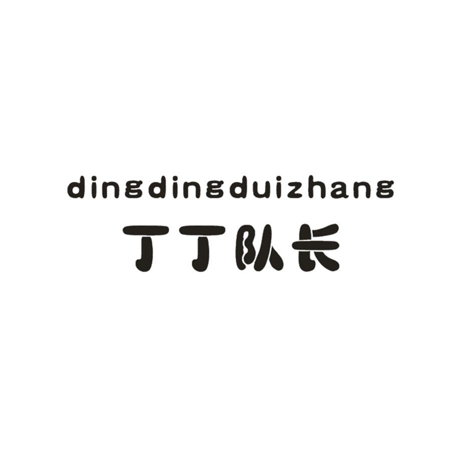 丁丁队长