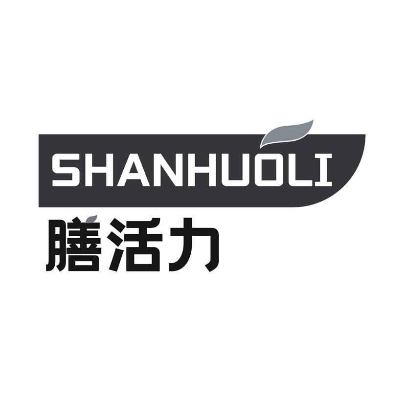 膳活力
