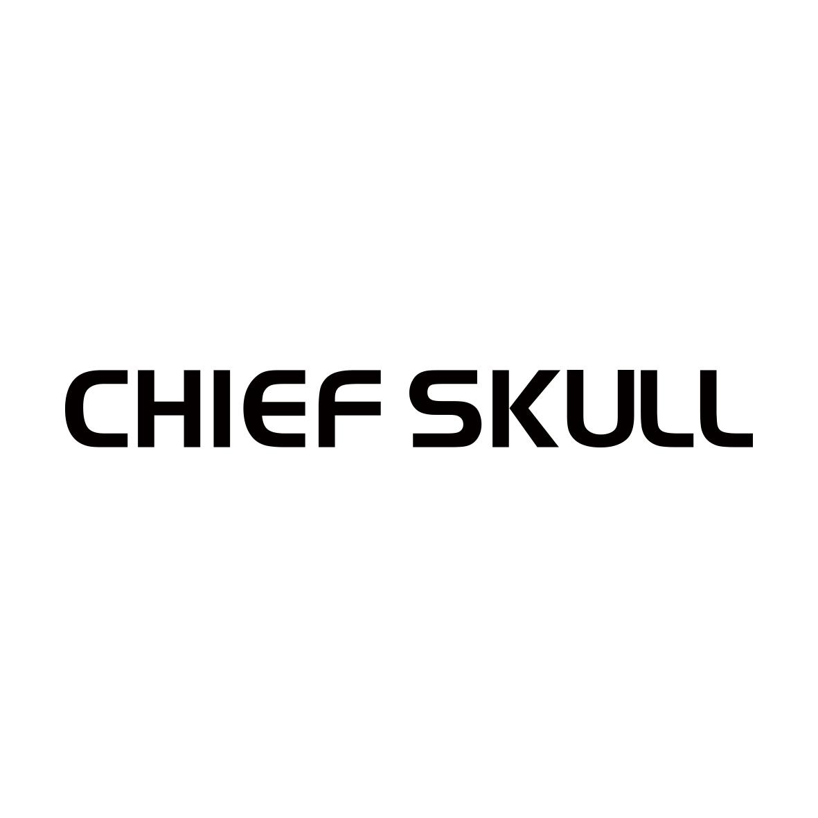 CHIEF SKULL       