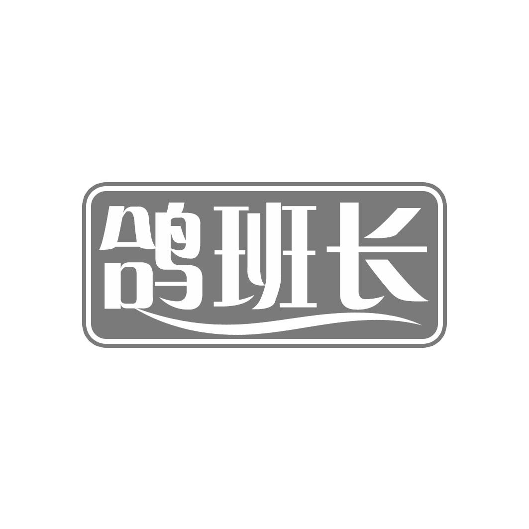 鸽班长