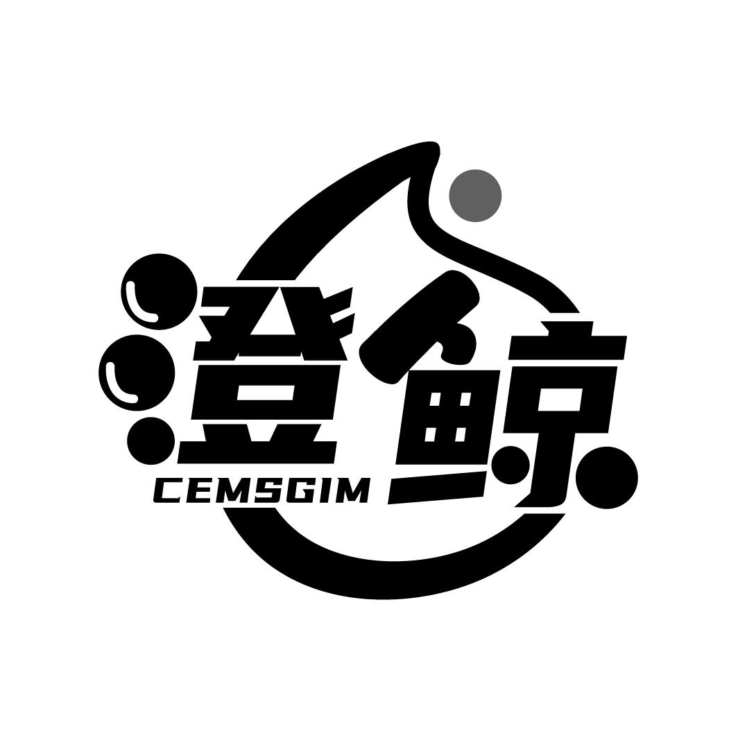 澄鲸
CEMSGIM