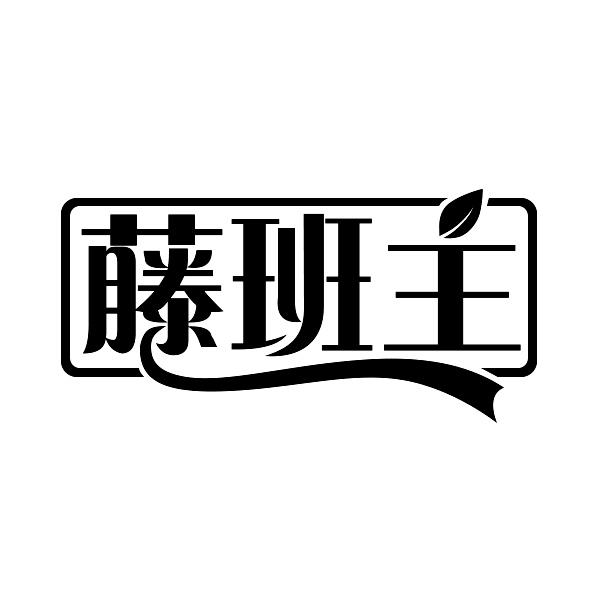藤班主