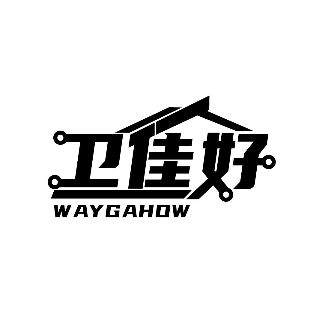 卫佳好
 WAYGAHOW