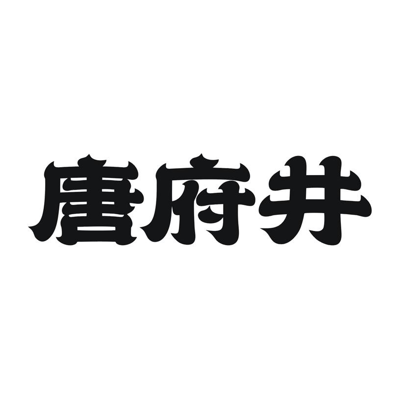 唐府井