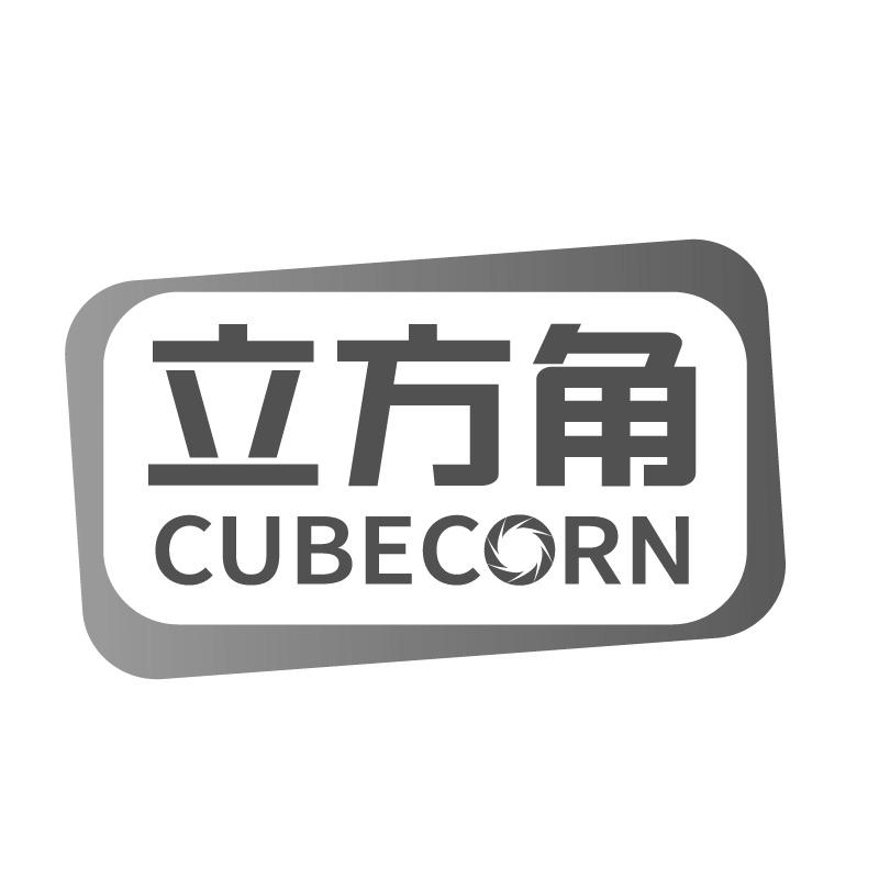 立方角CUBECORN