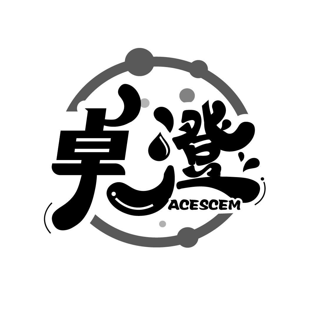 卓澄
ACESCEM