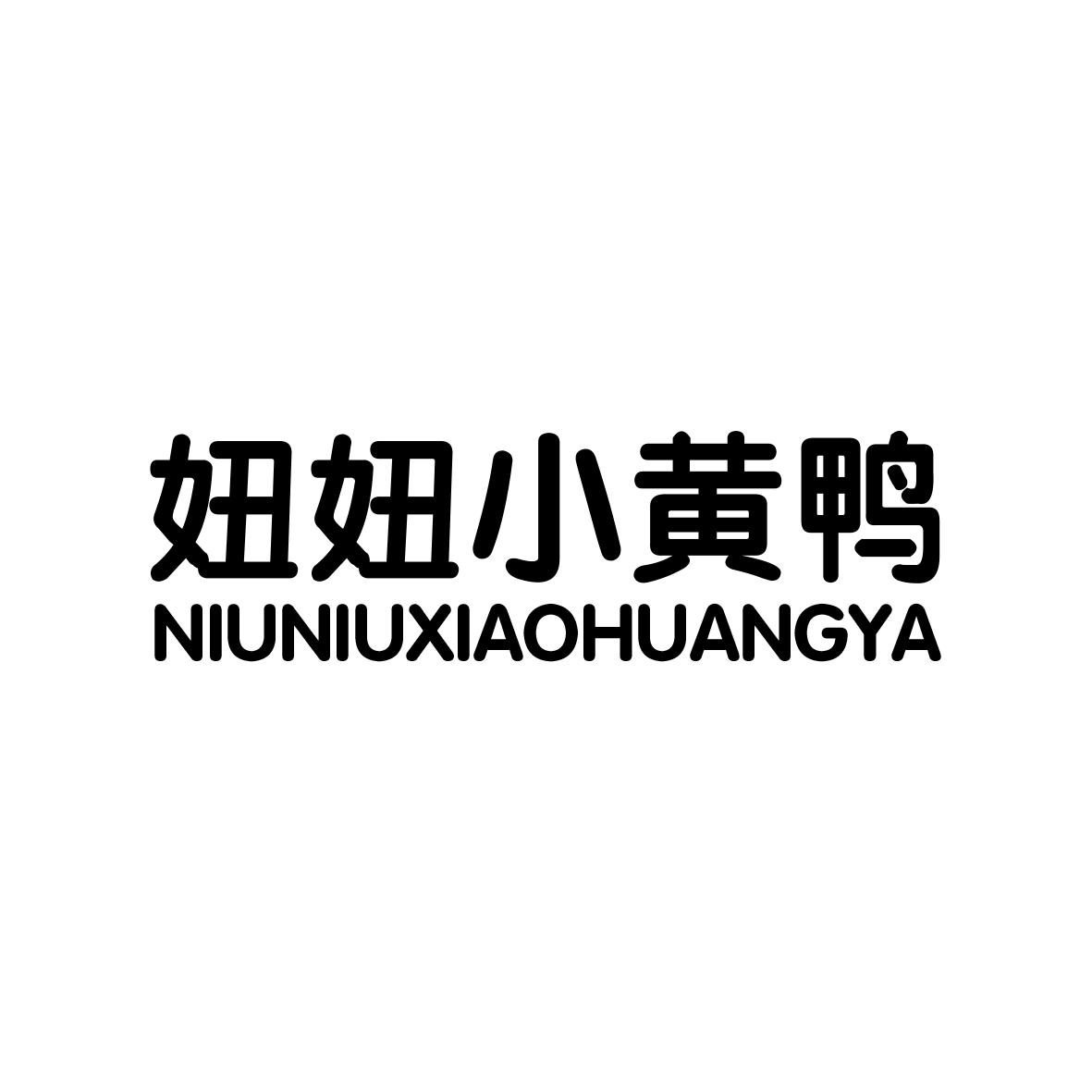 妞妞小黄鸭         
