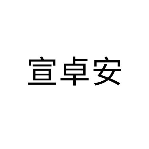 宣卓安