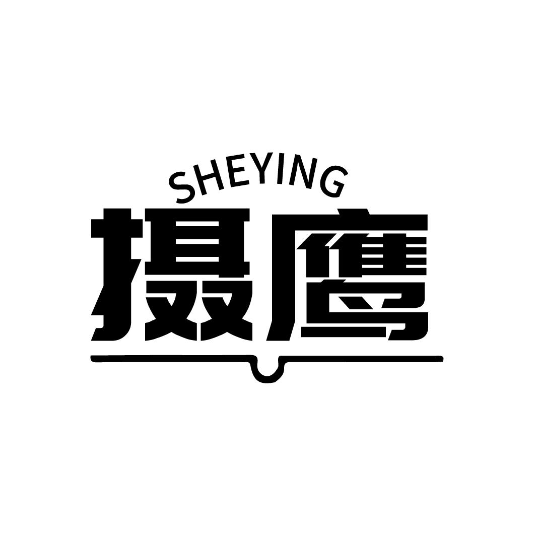 摄鹰