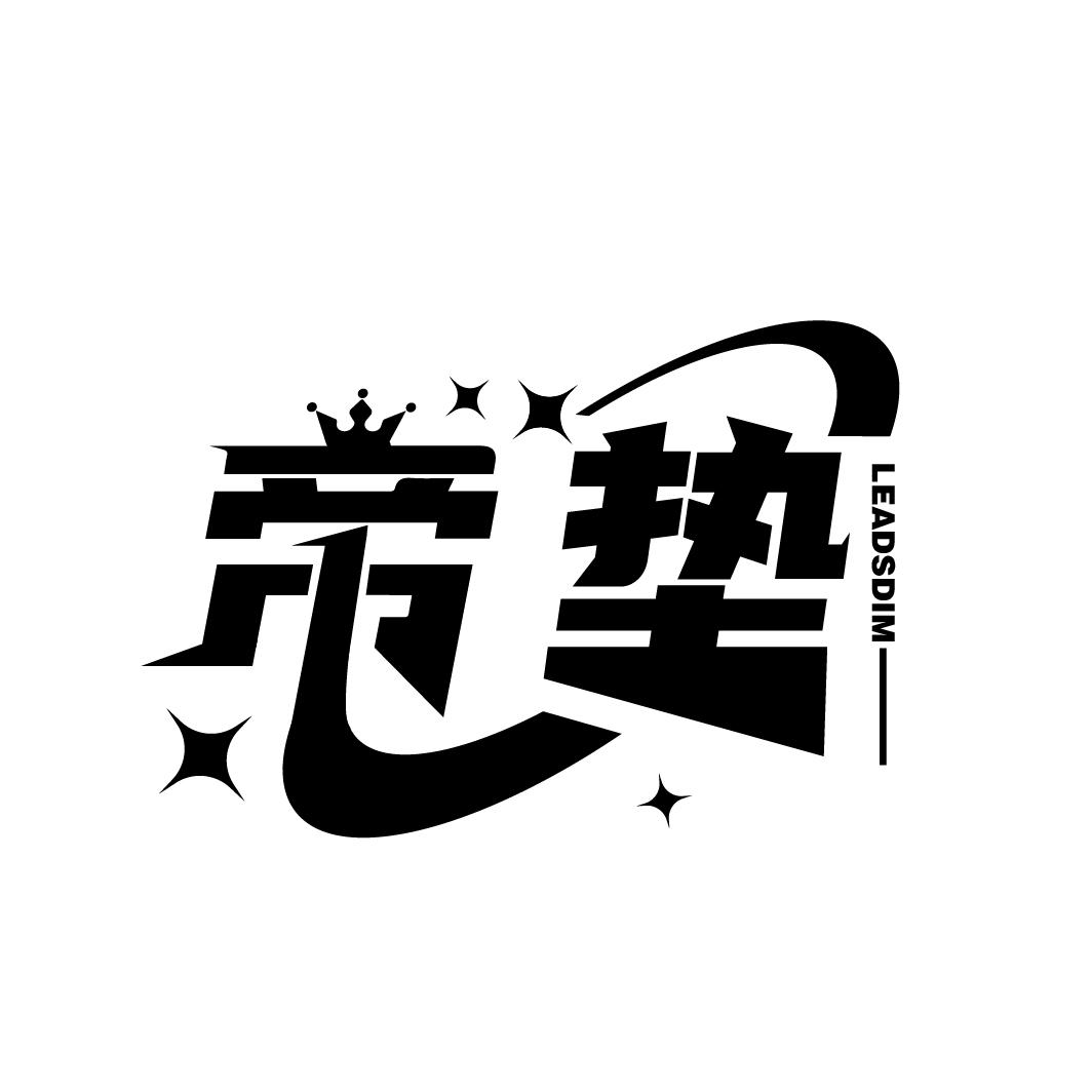 帝垫
LEADSDIM