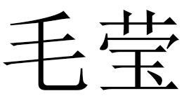 毛莹