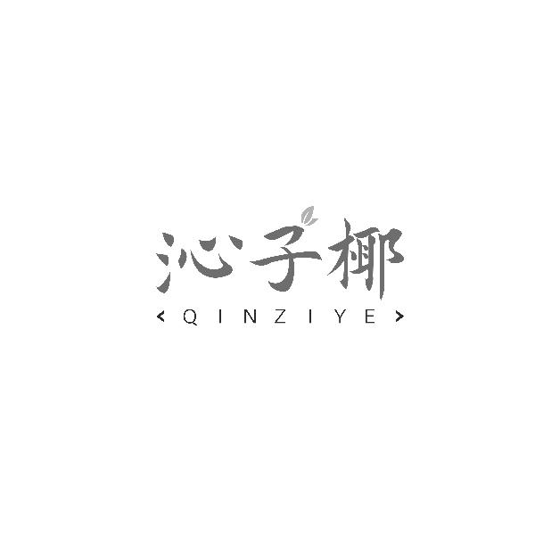 沁子椰QINZIYE