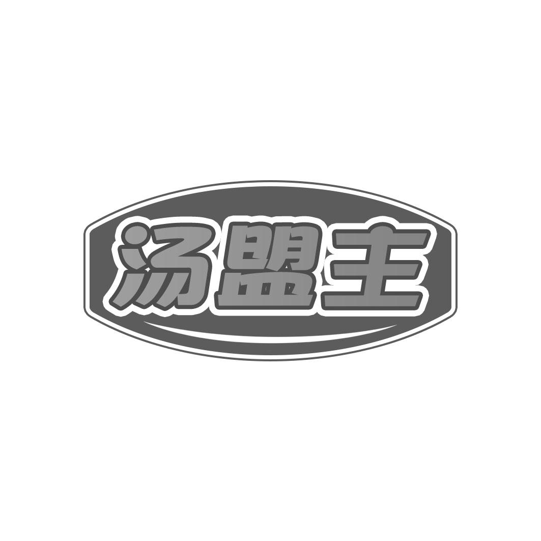 汤盟主