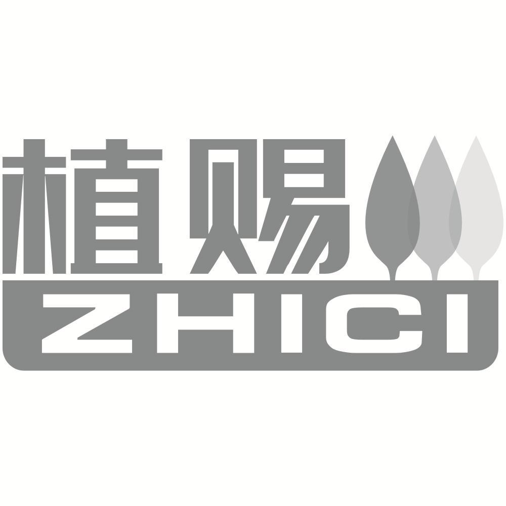 植赐ZHICI