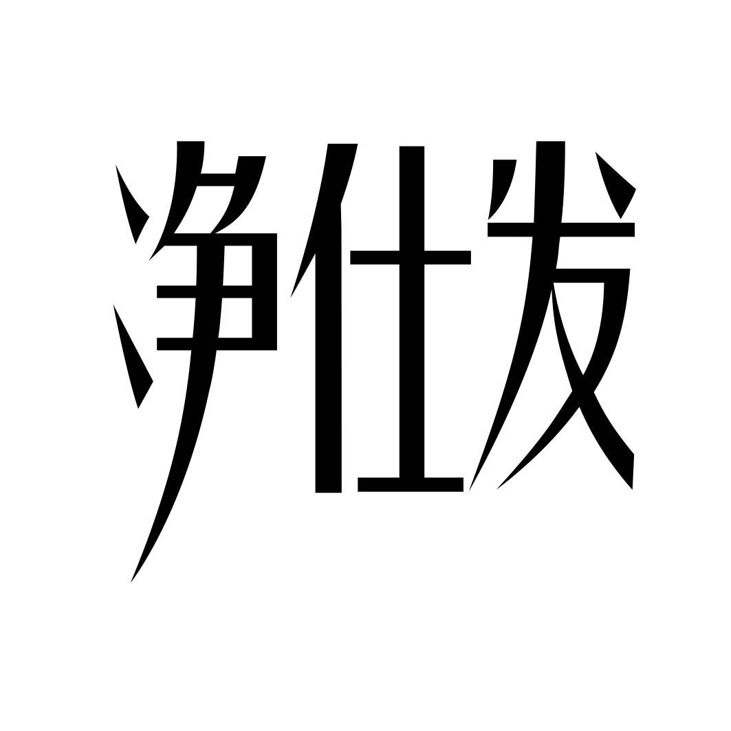 净仕发 