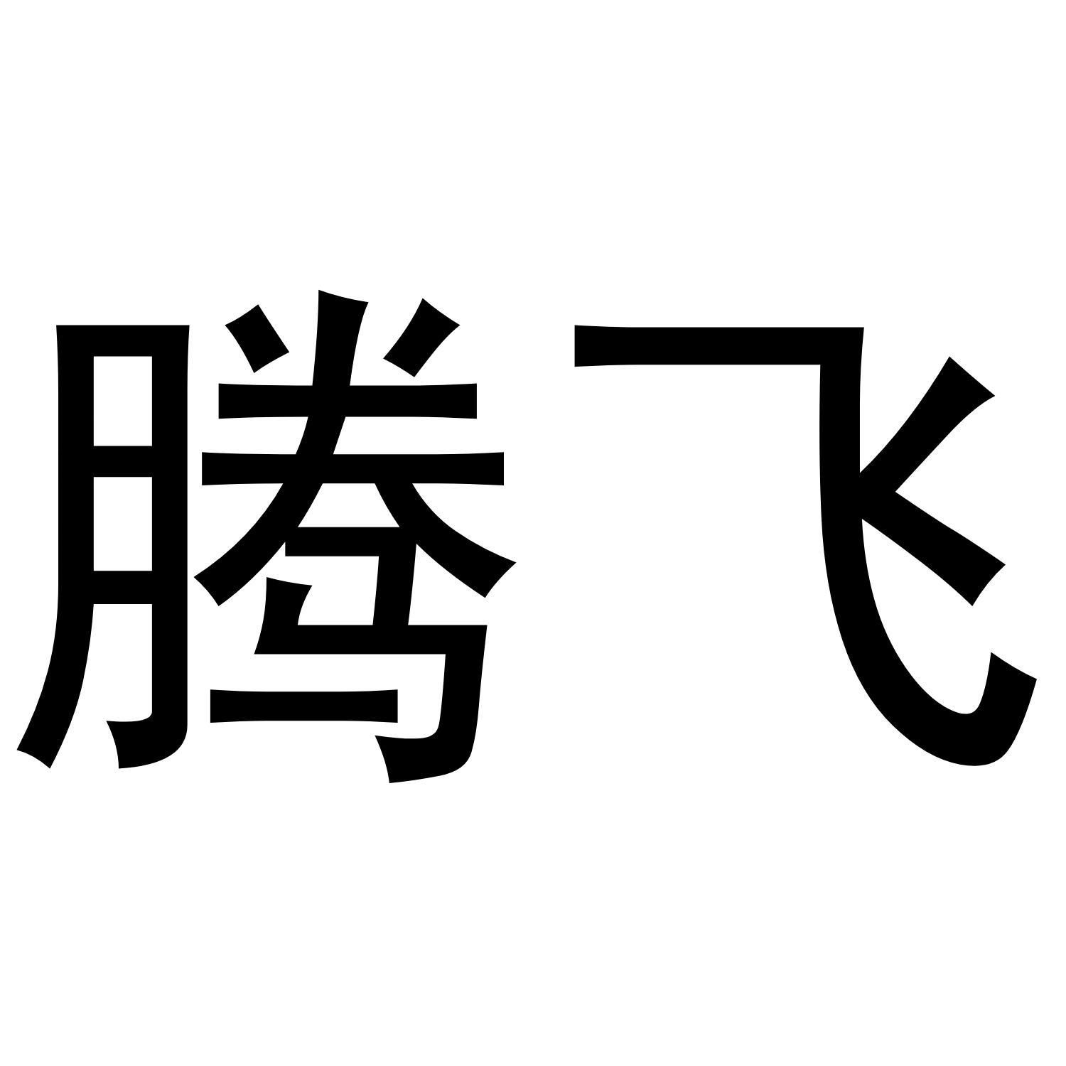 腾飞