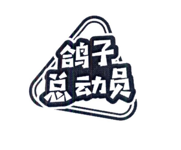 鸽子总动员