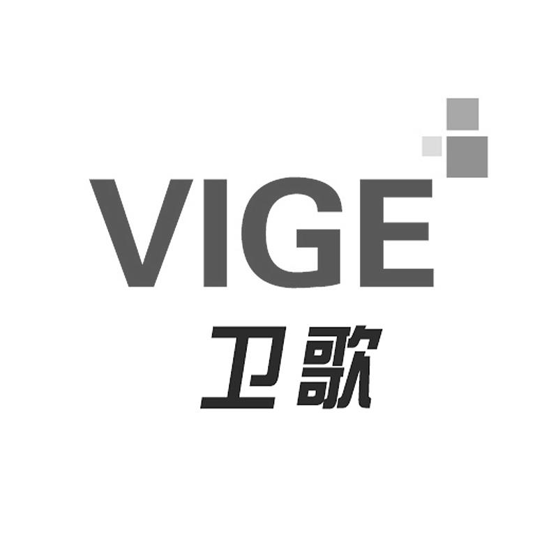 卫歌 VIGE