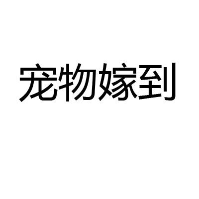 宠物嫁到