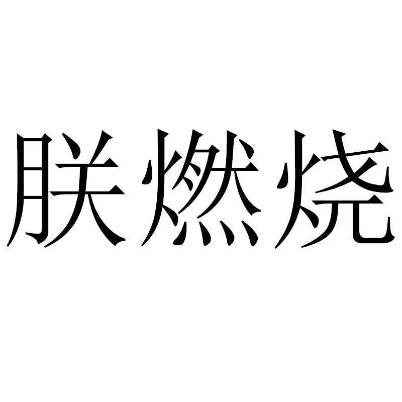 朕燃烧