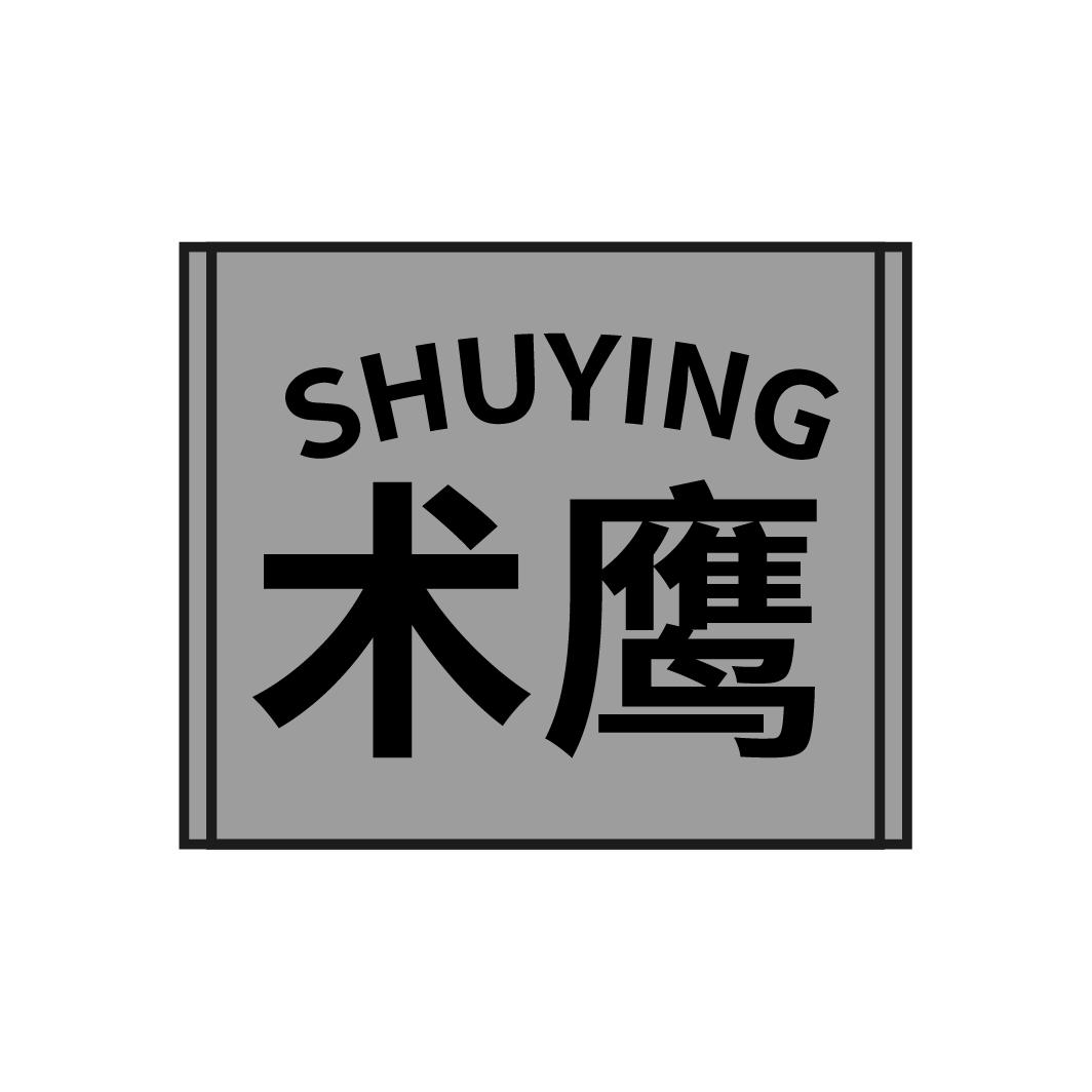 术鹰
SHUYING