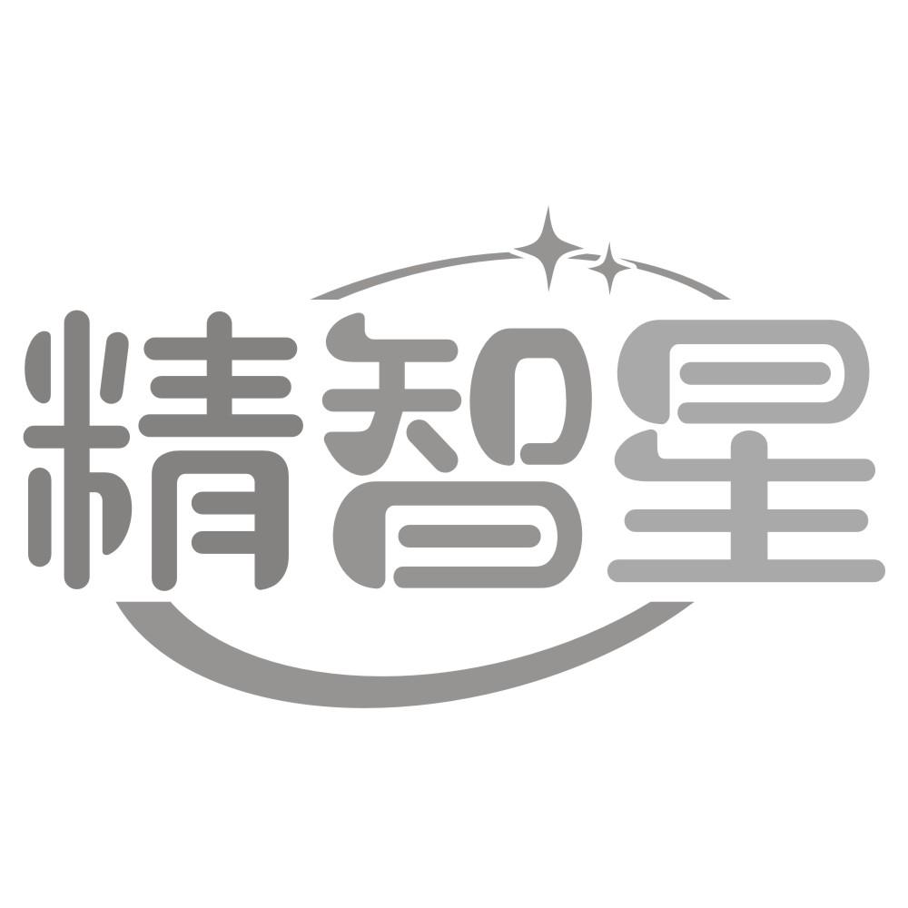 精智星