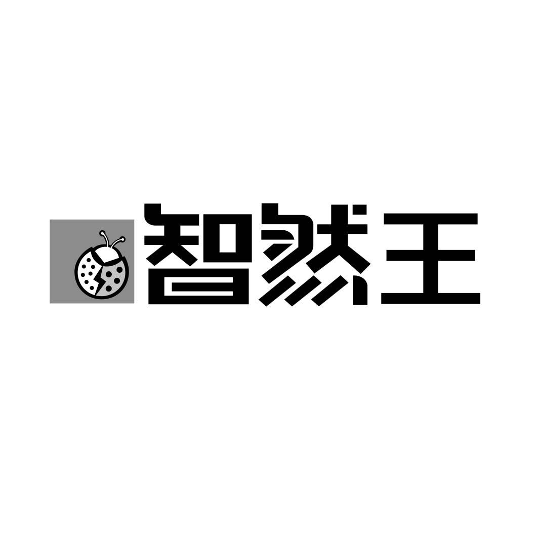 智然王 