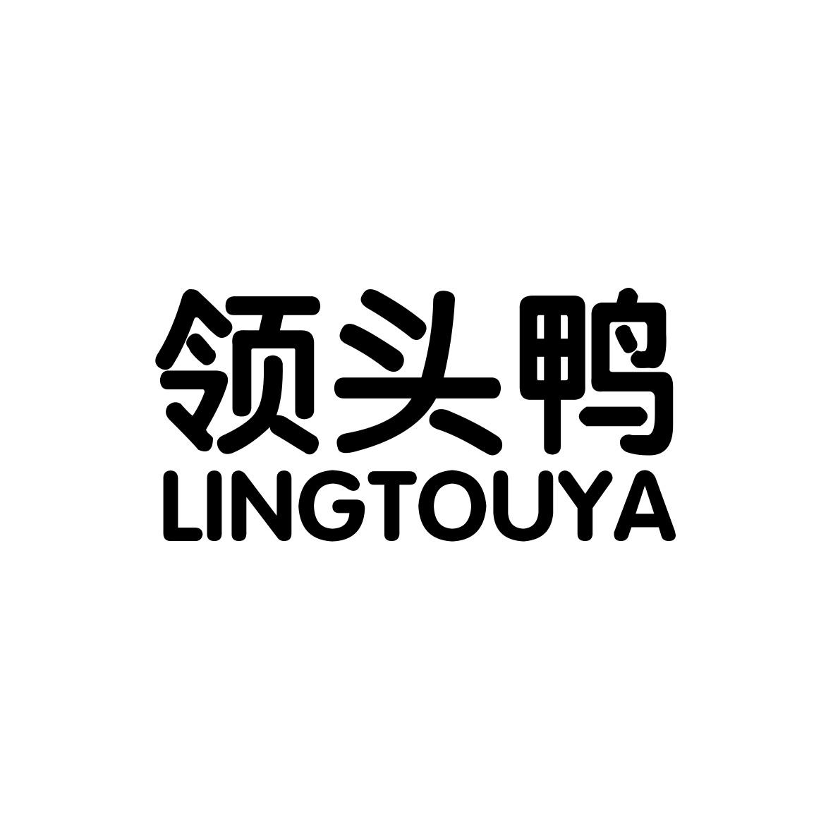 领头鸭                      