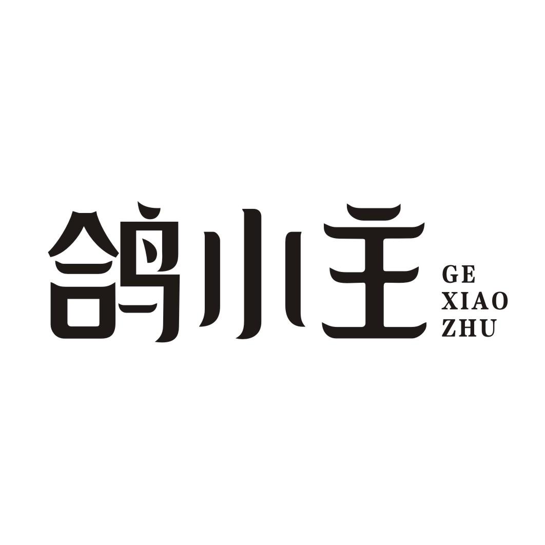 鸽小主GEXIAOZHU