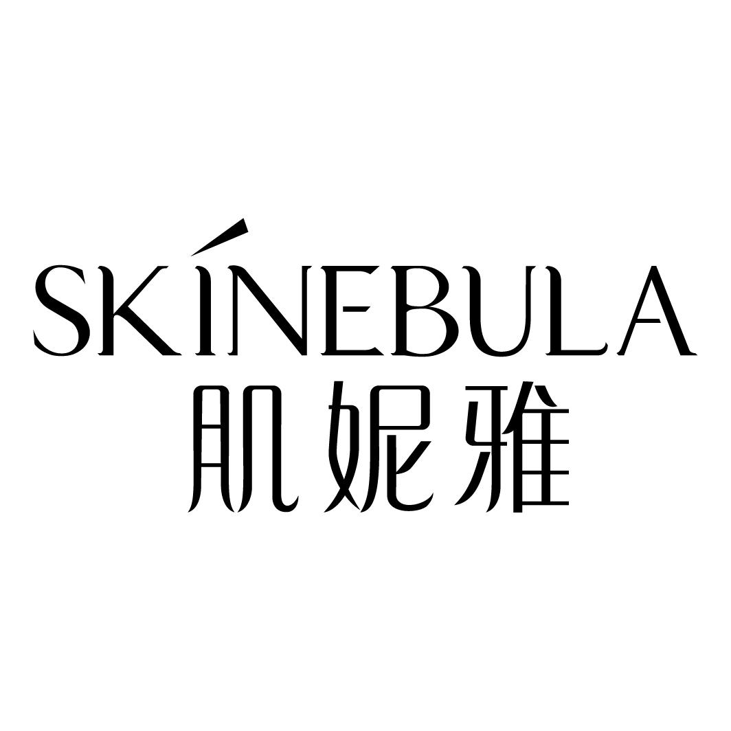 肌妮雅SKINEBULA